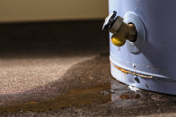 Best Flood damage cleanup  in Brookfield, MO