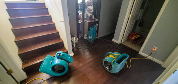  Brookfield, MO Water damage restoration Pros