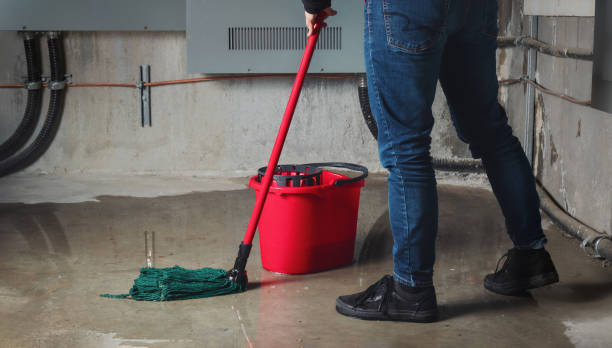 Best Water damage contractors near me  in Brookfield, MO