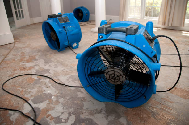 Best Professional water damage repair  in Brookfield, MO