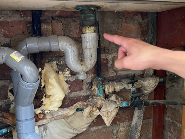 Best Basement water damage restoration  in Brookfield, MO