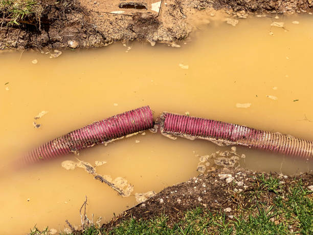 Best Water damage contractors near me  in Brookfield, MO
